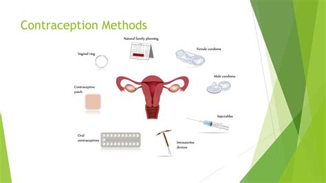 Ppt Sex Education Powerpoint Presentation Free Download Id 2139978