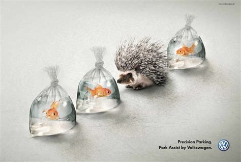 brilliantly clever print ads  creative