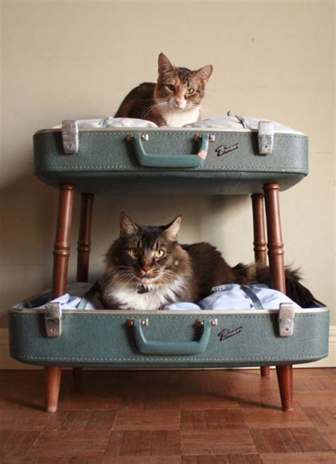 cozy cat beds furniture homemydesign