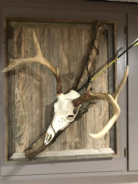 european deer mount plaque prey display rack wooden background stars