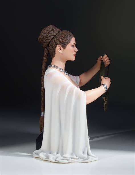 Star Wars A New Hope Princess Leia Hero Of Yavin Mini