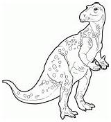 Coloring Iguanodon Dinosaur Pages Diplodocus Printable Color Print Colouring Dinosaurs Coloringpagesonly Drawings sketch template