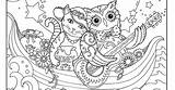 Pussycat Pages Owl Coloring sketch template