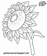 Bunga Mewarnai Matahari Belajar Masa sketch template