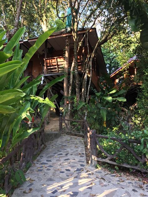 treehouse  thailand