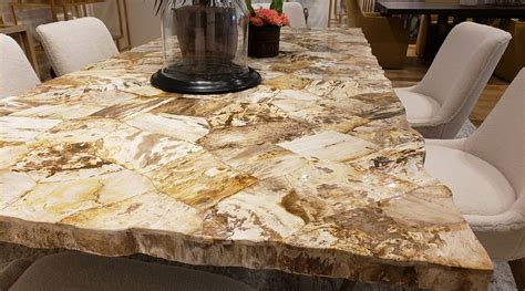 petrified wood  material  artisticas   dining