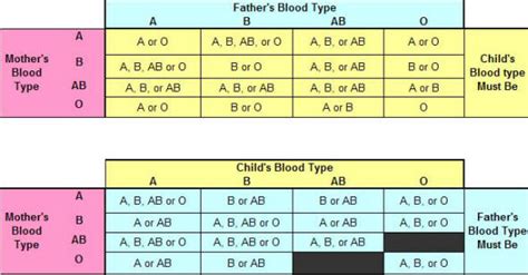 verify paternity  blood type paternity testing labs