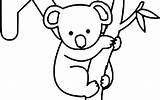 Koala Line Drawing Cute Coloring Pages Bear Colouring Baby Clipartmag Getdrawings sketch template