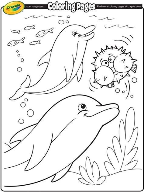 dolphins coloring page crayolacom