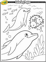 Coloring Pages Dolphins Crayola Dolphin Ocean Printable Sheets Animal Summer Kids Color Sea Print Book Adult Colouring Books Whales Fish sketch template