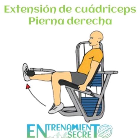 Extensión De Cuádriceps Con Pierna Derecha By Jose Carlos M