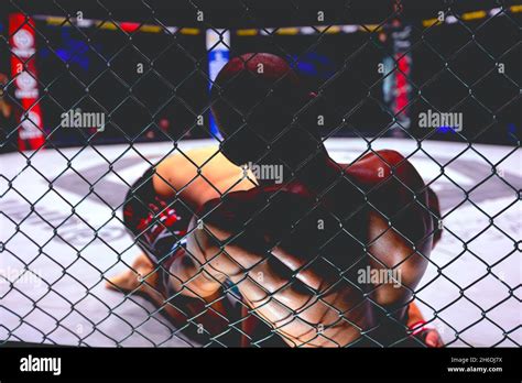 ultimate fighting mixed martial arts violence mma hi res stock