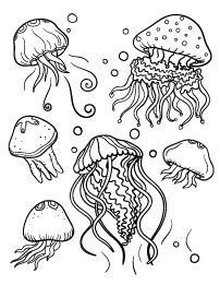 jellyfish coloring sheet