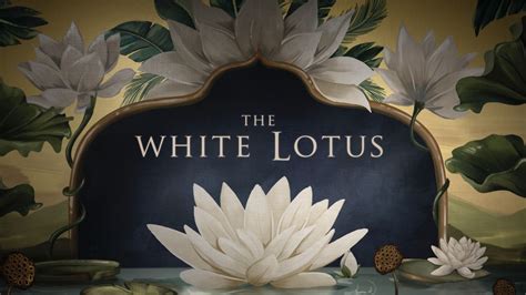 white lotus wallpaper hd images myweb