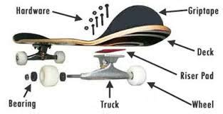 anatomy   skateboard  understanding  youre buying