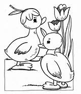 Mewarnai Lomba Paud Latihan Paperelle Colorare Binatang Agustus Usia Pasqua Kegiatan Mengikuti Dini Ages Contest Rebanas sketch template