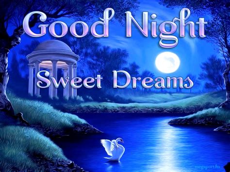 Good Night Sweet Dreams Megaport Media
