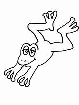 Rana Rane Broasca Colorat Ranocchi Stampare Grenouilles Ranocchia Frogs Grenouille Salta Planse Template Animales Scaricare Ranita Cartoni Animati sketch template