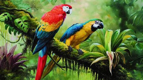 bird parrot jungle brach parrots painting art painting birds