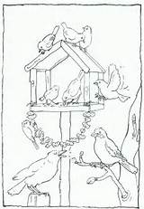 Kleurplaat Kleurplaten Vogels Feeding Parel Winterknutsels Tuin Voeren Uitprinten Downloaden sketch template