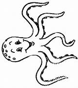 Colorat Animale P07 Octopus Planse Desene Primiiani Caracatita sketch template