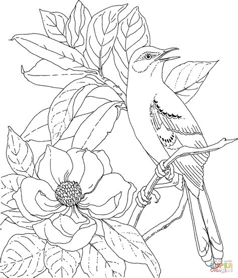 birds  flowers coloring pages coloring home