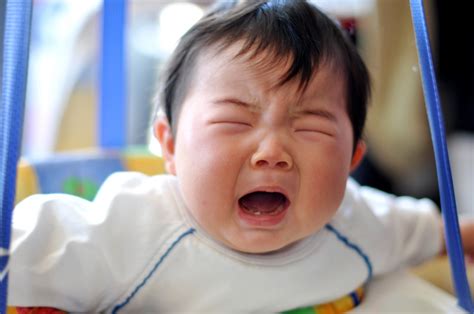 baby cries  lot   normal yale baby school
