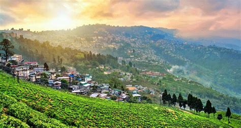 darjeeling gangtok honeymoon tour honeymoon darjeeling