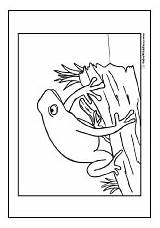 Frog Coloring Log Pages Colorwithfuzzy sketch template