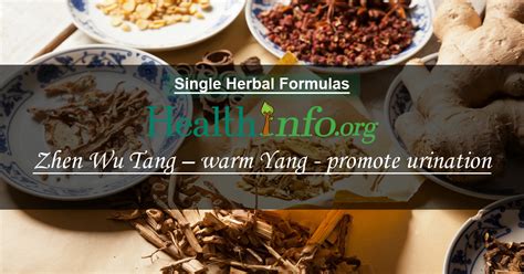 zhen wu tang warm  promote urination health infoorg