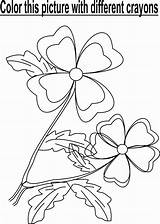 Flower Garden Coloring Kids Pdf Open Print  sketch template