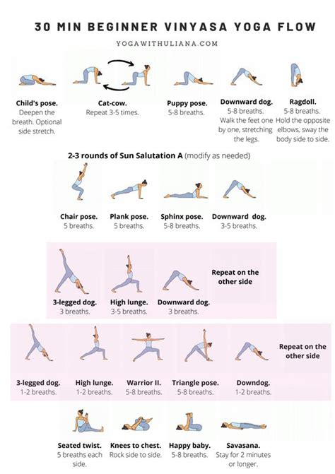 30 min beginner vinyasa yoga flow pdf yoga flow vinyasa yoga learn yoga