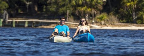 fun     florida activities tours places