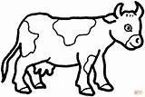Mucche Mucca sketch template