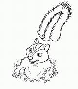 Hedge Over Coloring Pages Hammy Squirrel Popular sketch template