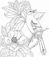 Coloring Magnolia sketch template
