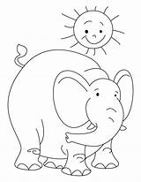 Elephant Coloring Pages Sun Elmer Color Baby Drawing Clipart Getdrawings Step Little Library Popular Clip sketch template