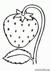 Gambar Mewarnai Strawberry Buah Dzieci Colorare Fragola Truskawka Kolorowanki Morango Kolorowanka Erdbeere Disegni Fresa Fraise Anak Bambini Colorkid Malvorlagen Anos sketch template