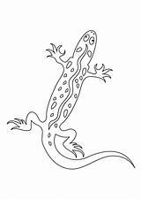 Hagedis Salamandre Eidechse Dieren Ausmalbilder Lézard Malvorlagen Colorier Animaatjes Malvorlagen1001 Coloriages Pois sketch template