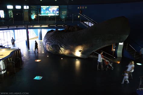 barcelona aquarium