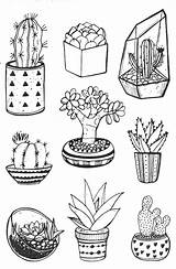 Cactus Coloring Pages Succulents Print Colouring Color Easy Adult Cacti Flowers Choose Board Wonder sketch template