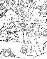 Paisaje Animales Bosque Invierno Templado Pasajes Laminas Nieve Azcolorear Grandes Adultos Visitar sketch template