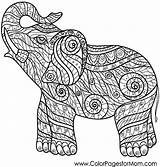 Elephant Elefantes Elefante Mona sketch template
