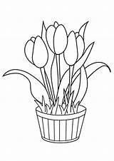 Coloring Pages Flowers Tulip Printable Beautiful sketch template