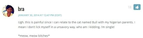 The Comment Awards Would Never Abandon Their Gay Cats Autostraddle