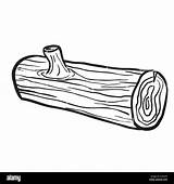 Log Cartoon Wooden Illustration Isolated Alamy sketch template
