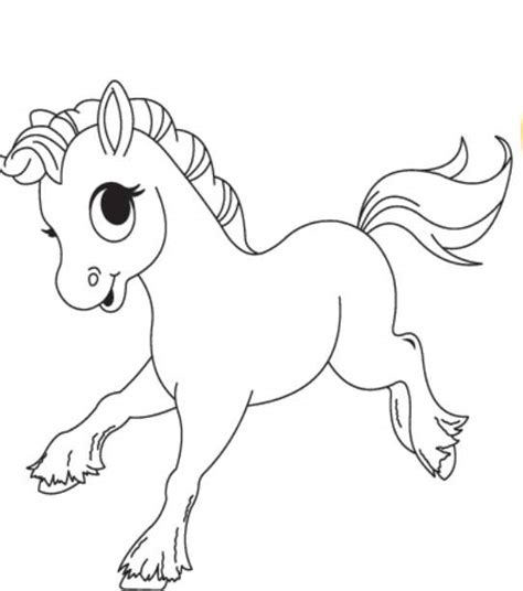 exclusive baby horse coloring pages book  kids