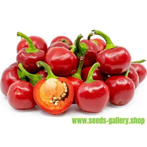 large red cherry chili seeds price