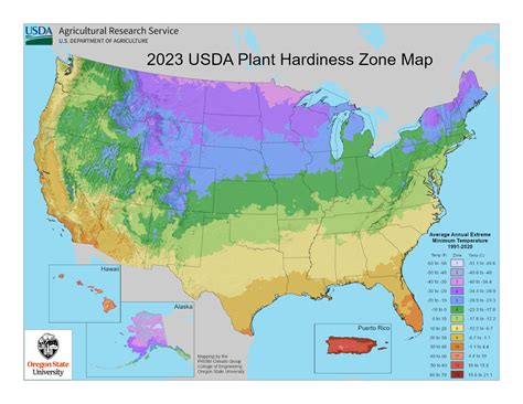 Usda Plant Hardiness Zone Map Planting Zones Map Usa