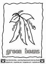 Beans Green Coloring Pages Printable Vegetables Growing Vegetable Colouring Kids Templates Fruits Clipart Color Lucy Printables Sheets Applique Library Fruit sketch template